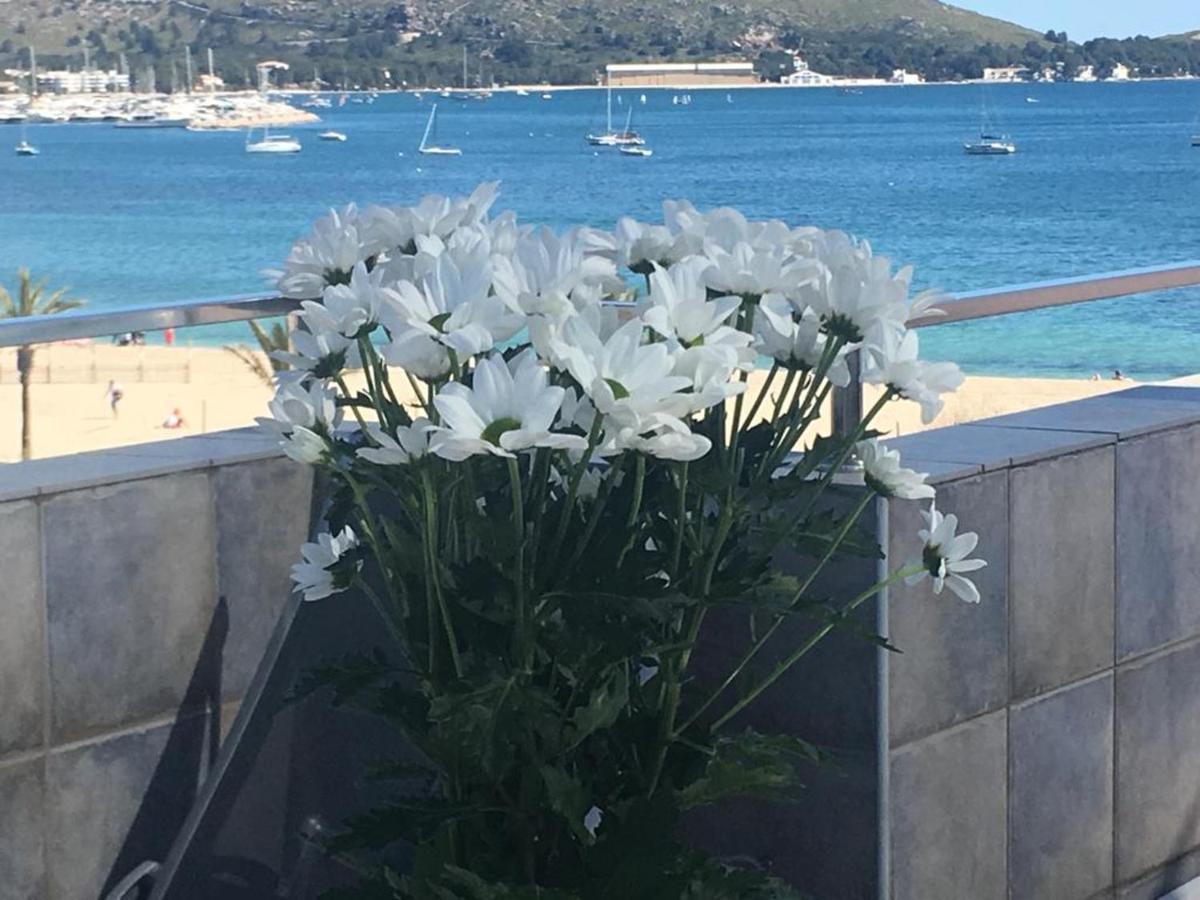 Apartment Elegant With Sea View In Puerto De Pollenca 120m² Jacuzzi
